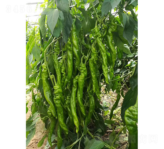 ����105�⽷����-����ũҵ