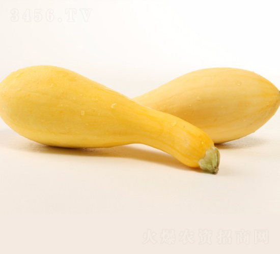 ����1218-����«����-��������