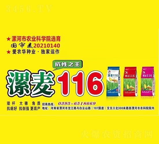 ����116-С������-��ũ����ҵ
