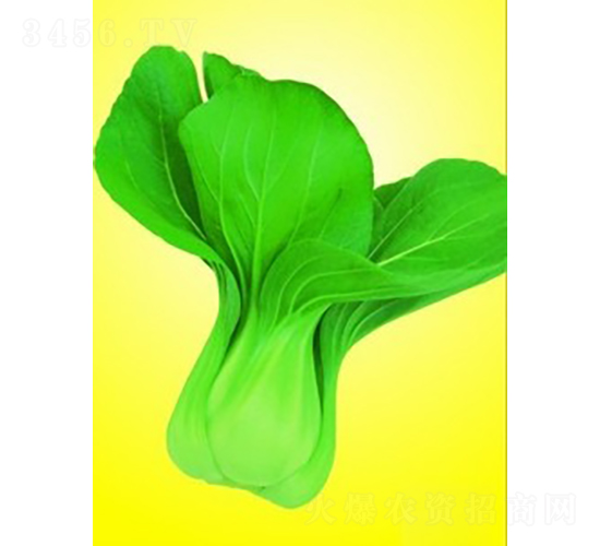 ����ݪ�๣��-�๣������-����