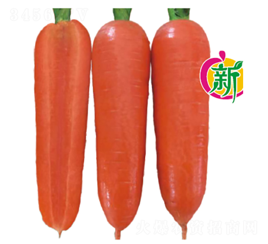 ����103F1���ܲ�-���ܲ�����-����