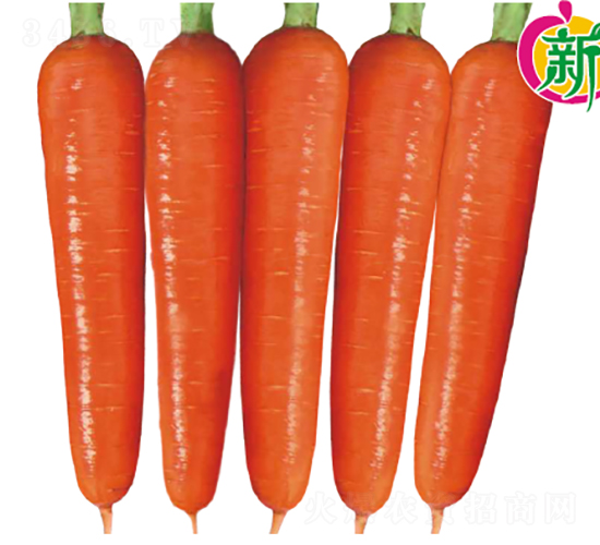 ��ϼ1�ź��ܲ�-���ܲ�����-����