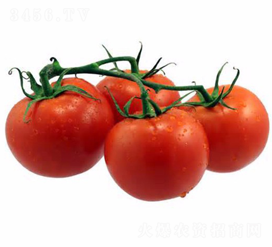 CNUS1703-����������������-��������