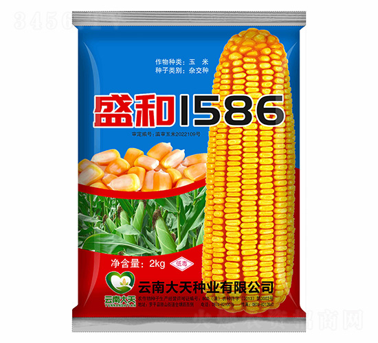 ��������-ʢ��1586-������ҵ