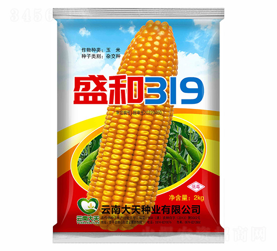 ��������-ʢ��319-������ҵ