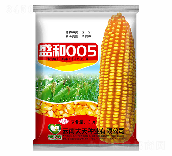 ��������-ʢ��005-������ҵ