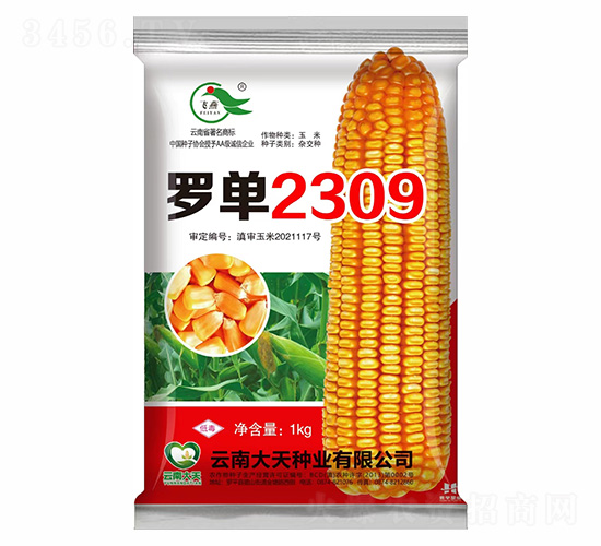��������-�޵�2309-������ҵ