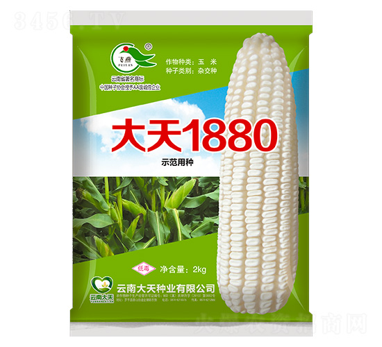 ��������-����1880-������ҵ