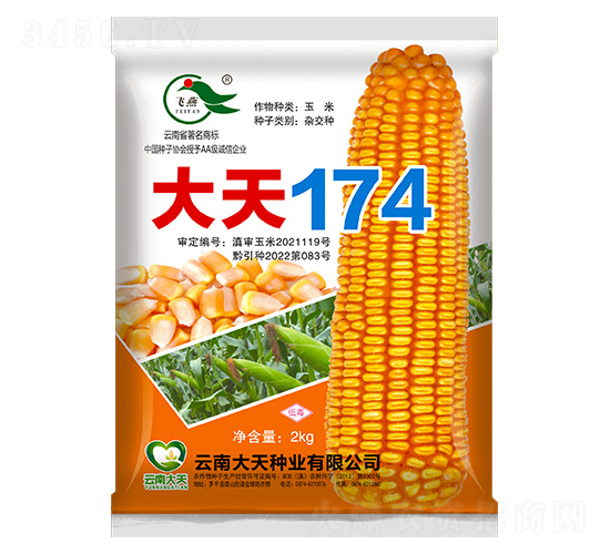 ��������-����174-������ҵ