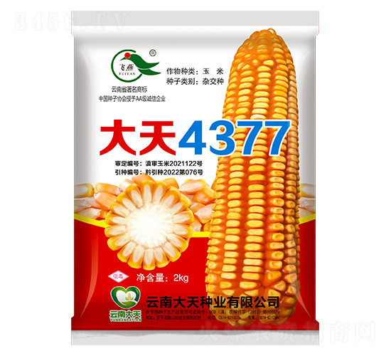 ��������-����4377-������ҵ