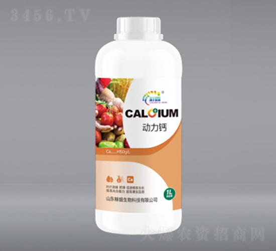 1L������-��ʢ����