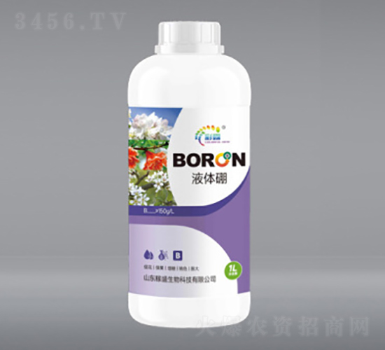 1L������-��ʢ����