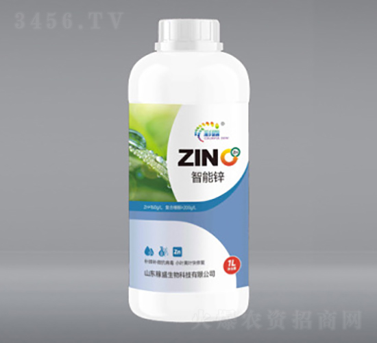 1L����п-��ʢ����