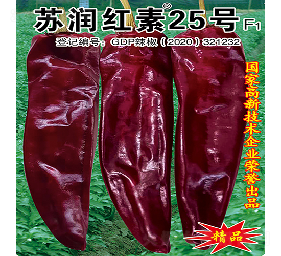 �������25��-��������-������ҵ