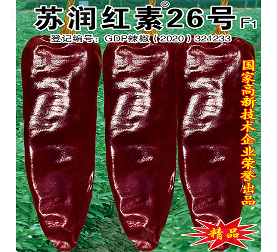 �������26��-��������-������ҵ