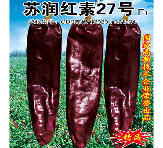�������27��-��������-������ҵ