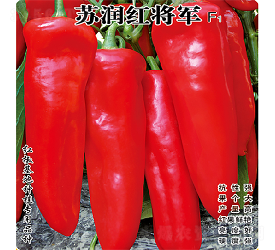 ����콫��-��������-������ҵ