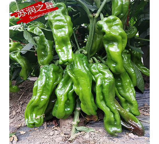 ����֮��-��������-������ҵ