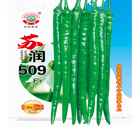 ����509-��������-������ҵ