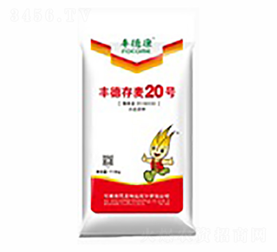 ��´���20�ţ��죩-��¿�
