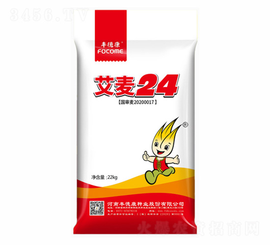 ����24-��¿�