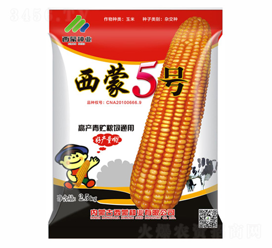 ��������5��-������ҵ