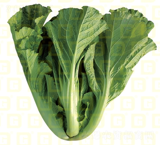 �¸�MS146-10-�������-�¸���ҵ