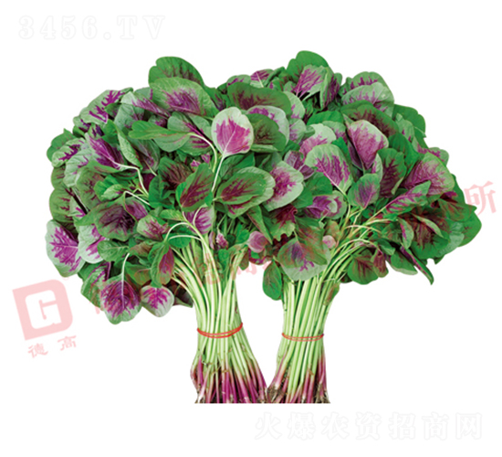 �¸�9��-�Ȳ�����-�¸���ҵ
