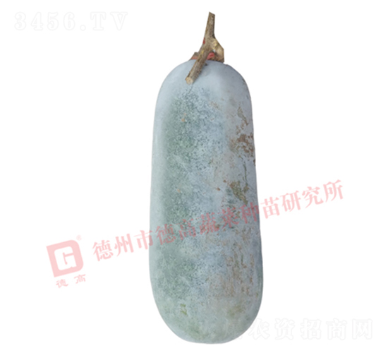�¸���ڶ���-��������-�¸���ҵ
