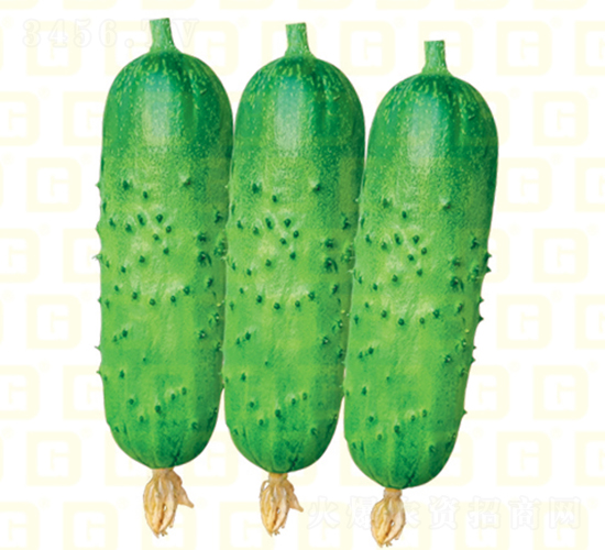 �¸���ͯ�ƹ�-�ƹ�����-�¸���ҵ