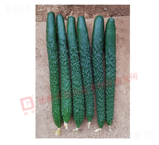 �¸�C28�ƹ�-�ƹ�����-�¸���ҵ