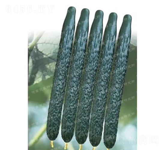 �¸�C57�ƹ�-�ƹ�����-�¸���ҵ