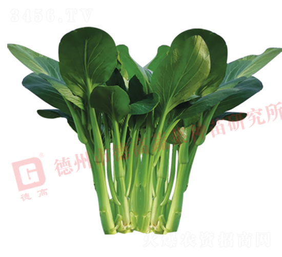 �¸���̦-���Ĳ�޷����-�¸���ҵ