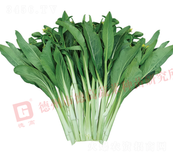 �¸�2027��޷-���Ĳ�޷����-�¸���ҵ