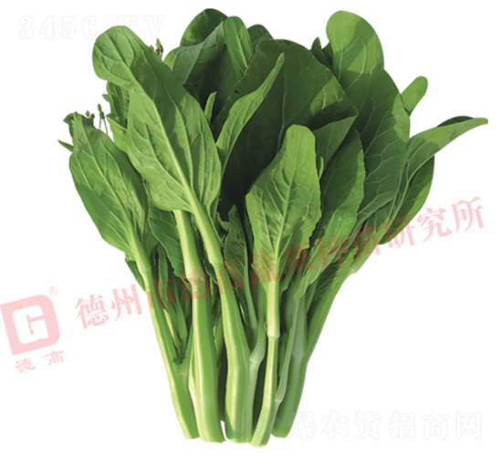 �¸�2099��޷-���Ĳ�޷����-�¸���ҵ