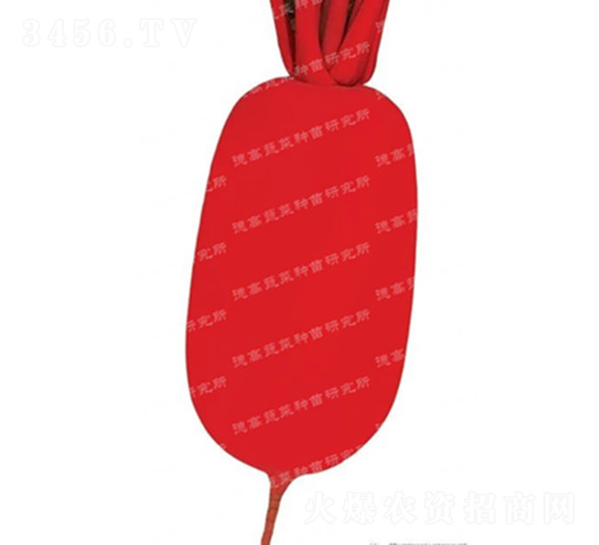 ��Ƥ�ܲ�-���-�ܲ�����-�¸���ҵ