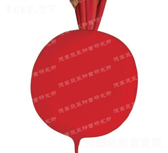 ��Ƥ�ܲ�-�����-�ܲ�����-�¸���ҵ