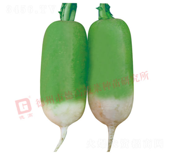 ����Ƥ�ܲ�-R117-�ܲ�����-�¸���ҵ
