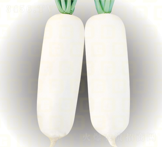 ���ܲ�-�¸߹���-�ܲ�����-�¸���ҵ