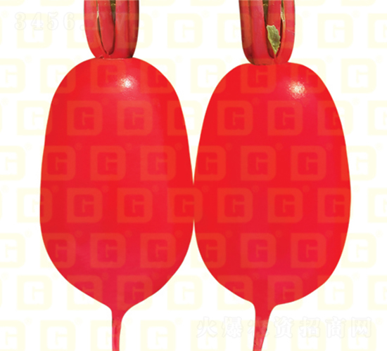 ��Ƥ�ܲ�-�¸����ͺ�-�ܲ�����-�¸���ҵ