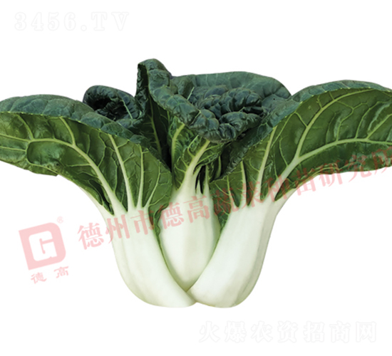 �̰ײ�-�¸�N914-�׹�������-�¸���ҵ