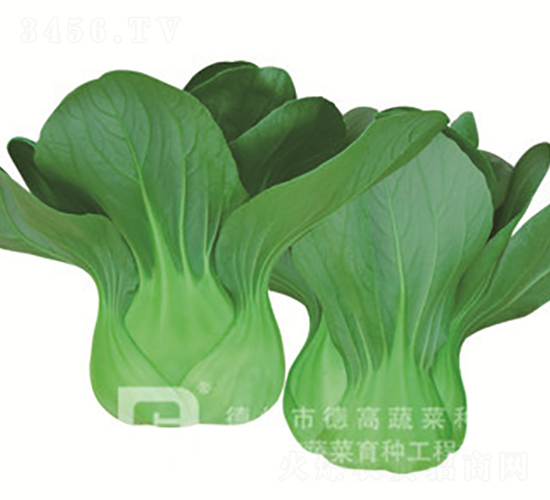 �ذ���-�¸�T668-�๣������-�¸���ҵ