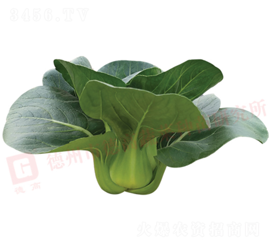 ������-�¸�1226-�๣������-�¸���ҵ