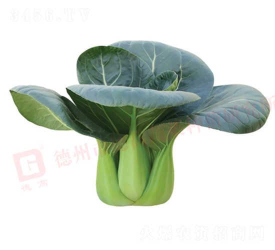 ������-�¸�1135-�๣������-�¸���ҵ