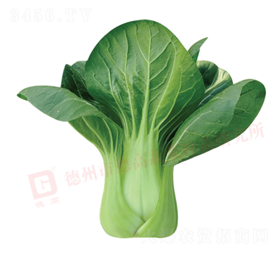 �нŶ�����-�¸�578-�๣������-�¸���ҵ