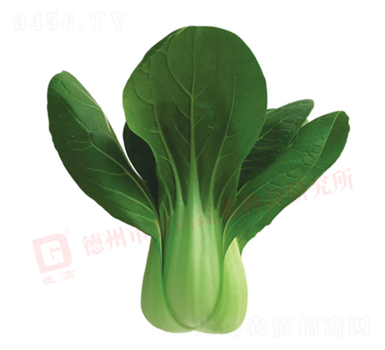 �нŶ�����-�¸ߴ���-�๣������-�¸���ҵ