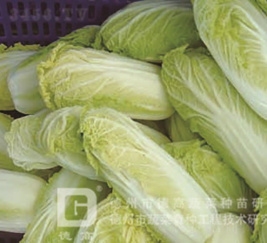 �¸߽����-���޲�����-�¸���ҵ
