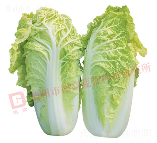 ��˿��-�¸�1443-��ײ�����-�¸���ҵ