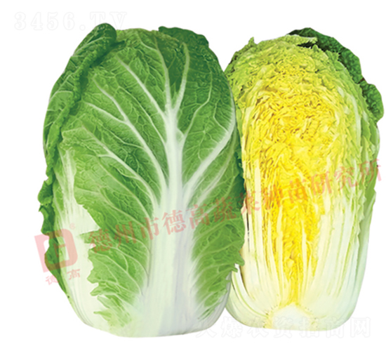 �����ͳ�޷�ײ�-17L723-��ײ�����-�¸���ҵ