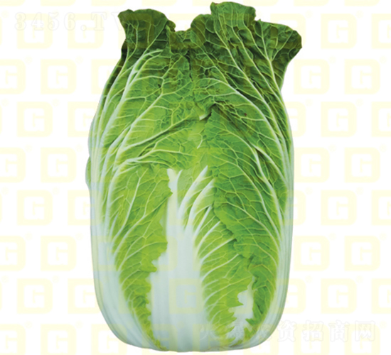 �����ײ��ײ�-�¸�ӯ��-��ײ�����-�¸���ҵ